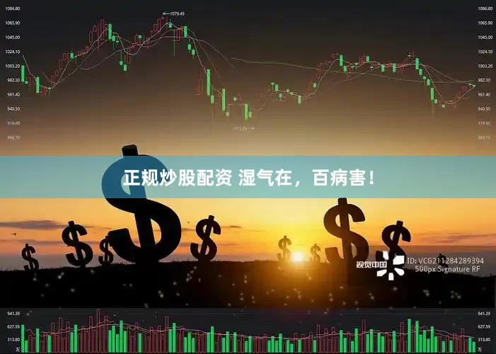 正规炒股配资 湿气在，百病害！