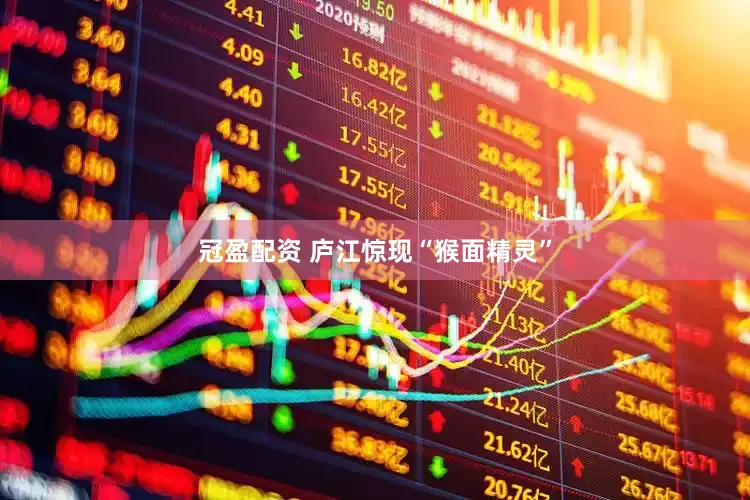 冠盈配资 庐江惊现“猴面精灵”