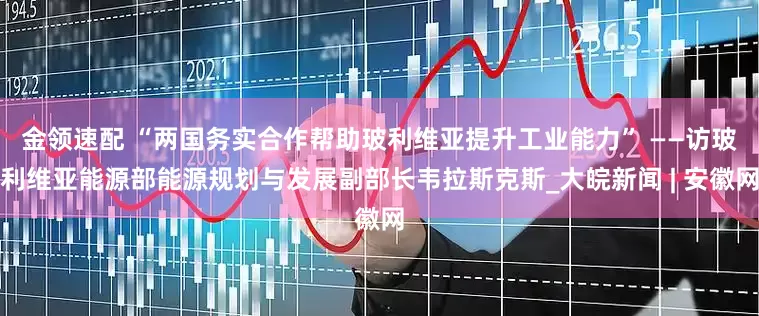 金领速配 “两国务实合作帮助玻利维亚提升工业能力” ——访玻利维亚能源部能源规划与发展副部长韦拉斯克斯_大皖新闻 | 安徽网
