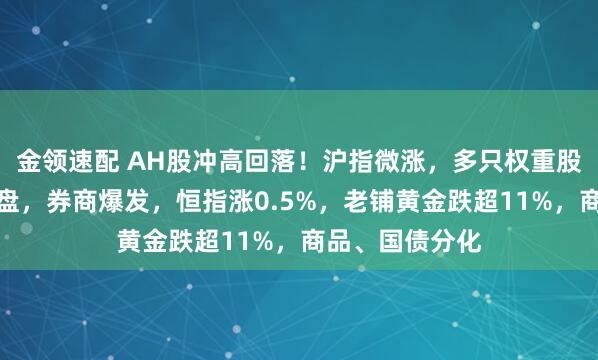 金领速配 AH股冲高回落！沪指微涨，多只权重股尾盘竞价遭抛盘，券商爆发，恒指涨0.5%，老铺黄金跌超11%，商品、国债分化