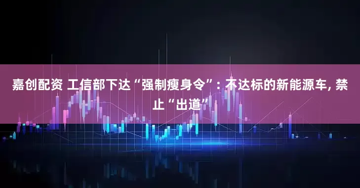 嘉创配资 工信部下达“强制瘦身令”: 不达标的新能源车, 禁止“出道”