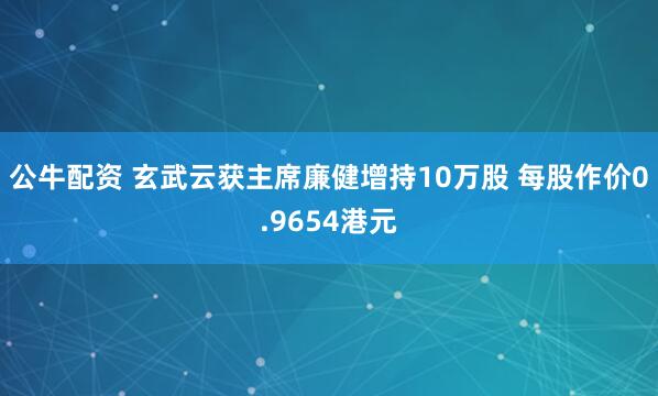 公牛配资 玄武云获主席廉健增持10万股 每股作价0.9654港元